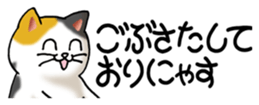 436700891