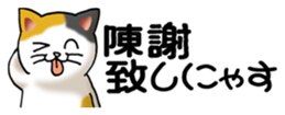 436700903