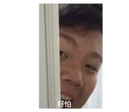 436709304