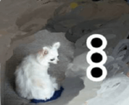 436731711