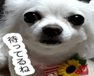 436731724