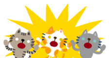 436738088