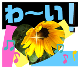 436747360