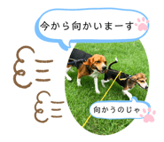 436758825