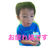 436836019