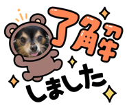436862111