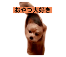 437009196