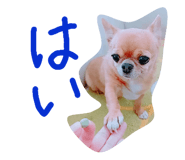 437031369