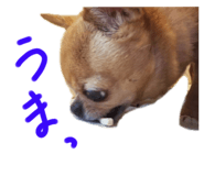 437031372