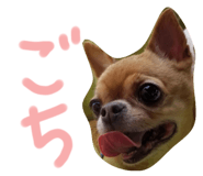 437031374
