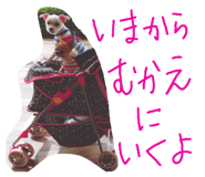 437031389