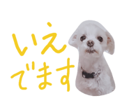 437031391