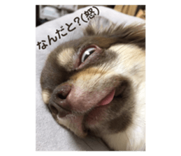 437050119