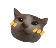 437110215