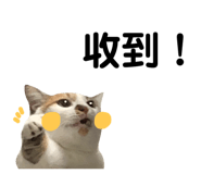 437110220