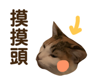 437110223