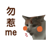 437110233