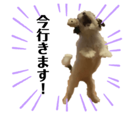 437114092