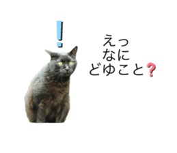 437140566