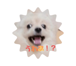 437224037