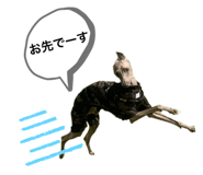 437335071