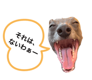 437335078