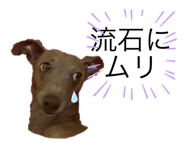 437335083