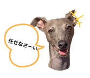 437335086