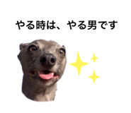 437335093