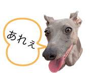 437335096