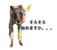 437335098