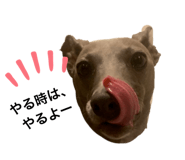 437335099
