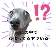 437335100