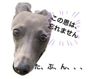 437335101