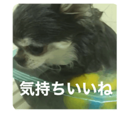 437348283