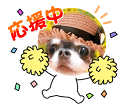 437348286
