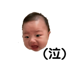437350822