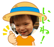 437353291