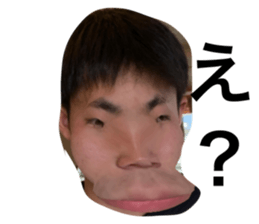 437362636