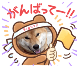 437363452