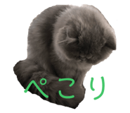 437364530