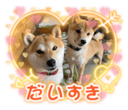 437364647