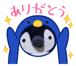 437409215