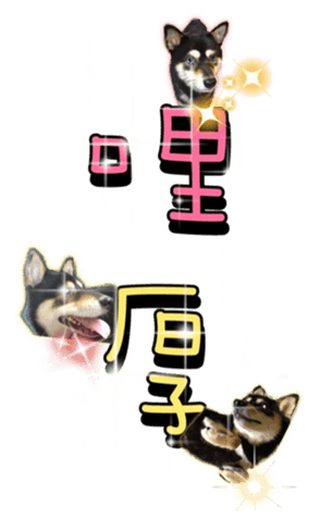 437457062