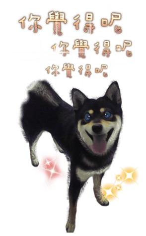 437457066