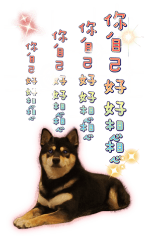 437457076