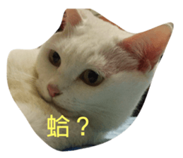 437481200