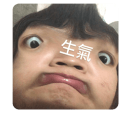 437515455