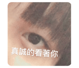 437515461