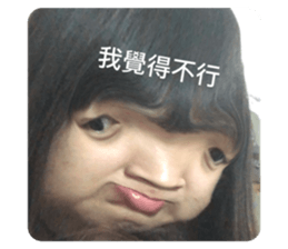 437515466